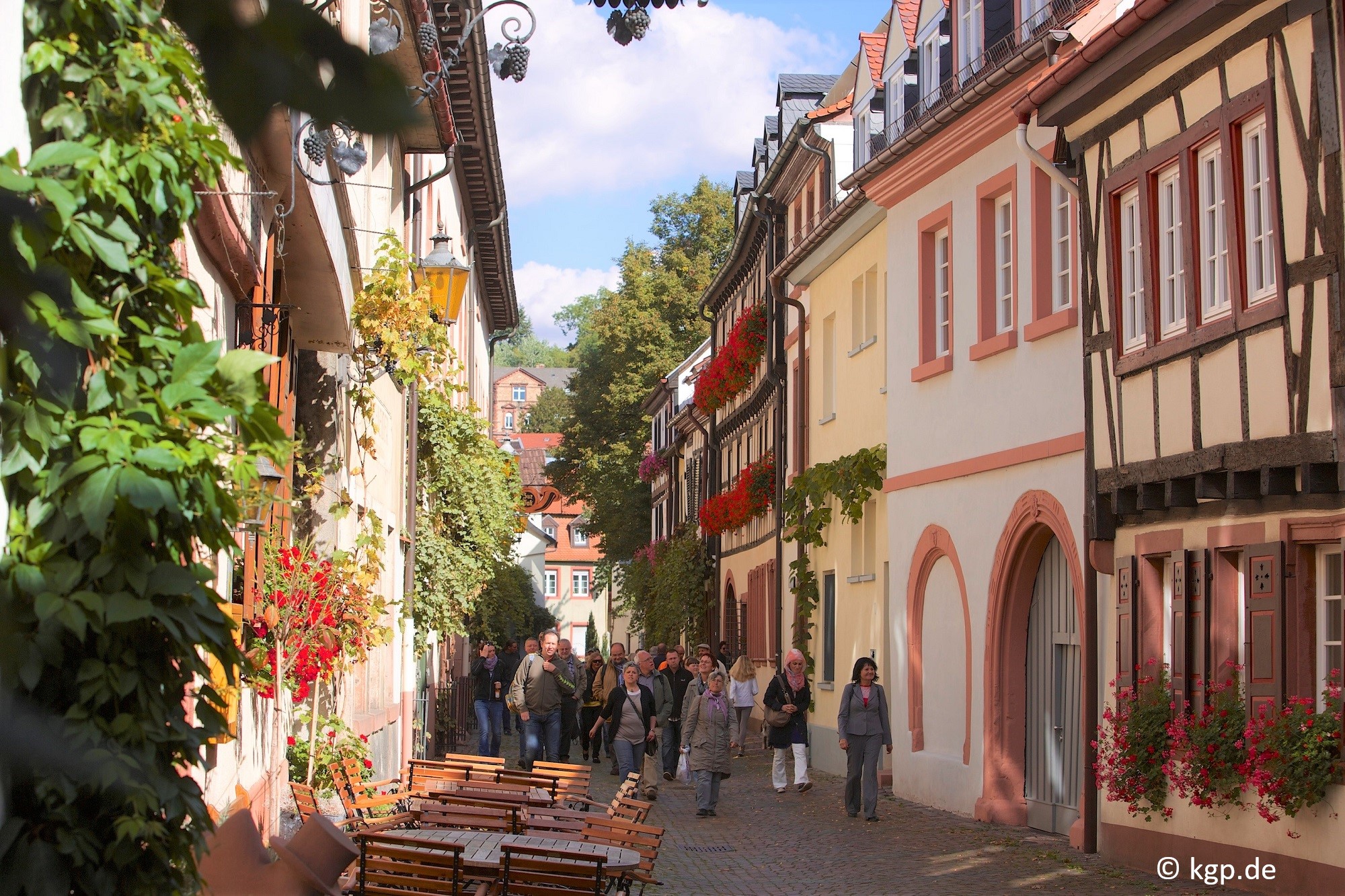 Public guided walking tour of the historic Old Town
